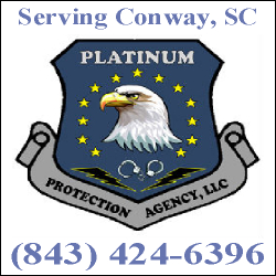 Platinum Protection Agency